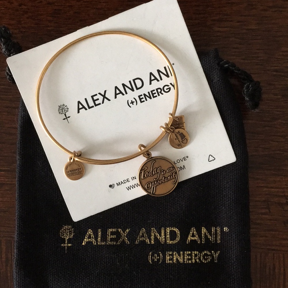 Alex and Ani Copper Bracelet - ENERGY